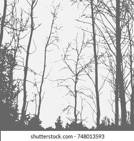 Silhouettes of Trees on subtle background. Tree Pattern. Vector illustration