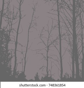 Silhouettes of Trees on subtle background. Tree Pattern. Vector illustration