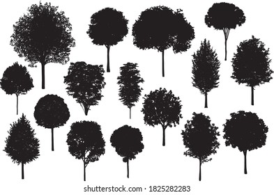 Siluetas de árboles de fondo blanco