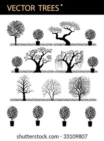 Silhouettes of trees on a white background
