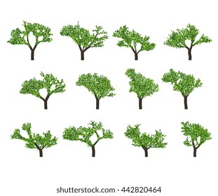 Silhouettes of trees on white background. Realistic green tree.