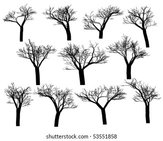 Silhouettes of trees on a white background