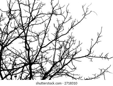 Silhouettes trees over white background. Colors and gradients can easily be added to background