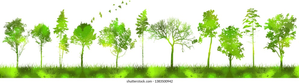 Silhouettes of trees in the park. Nature tracing. Different trees on the horizon line. Vector