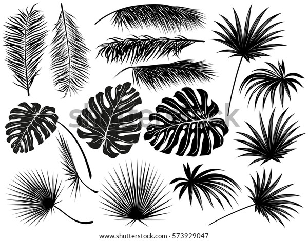 Featured image of post Silhueta Vetor Coqueiro Download free silhouette vectors and other types of silhouette graphics and clipart at freevector com