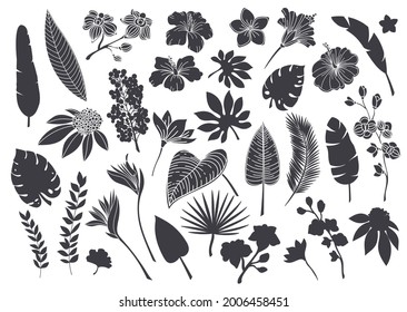 Silhouettes tropical leaves and flowers. Monochrome glyph forest palm monstera fern hawaiian leaves, orchid, hibiscus, plumeria flower. Plant tropical elements vector illustration.