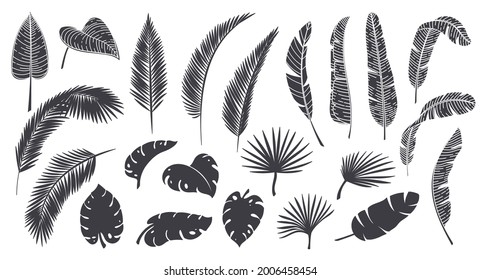 Silhouettes tropical leaves. Monochrome glyph forest palm monstera fern hawaiian leaves. Tropical elements vector illustration.