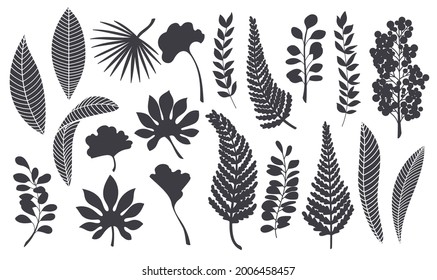 Silhouettes tropical leaves. Monochrome glyph forest palm ginkgo biloba, monstera, cheflera, zamioculcas, fern hawaiian leaves. Plant elements vector illustration.