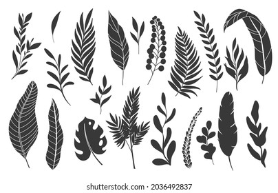 9,192 Hawaiian tree fern Images, Stock Photos & Vectors | Shutterstock