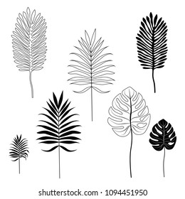 Silhouettes of tropical leaves. Set of object isolated on white background. 