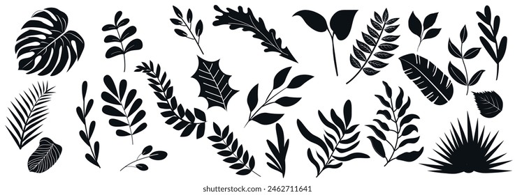 Siluetas de hojas de palma tropical aisladas sobre fondo blanco. Conjunto de plantas exóticas. Hojas negras de palma, abanico de palma, plátano. La Naturaleza deja colección. Ilustración vectorial. Hojas de selva.