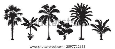  Silhouettes of tropical palm trees. Abstract botanical set. Elements isolated on a white background. Collection of monochrome graphic icons. 