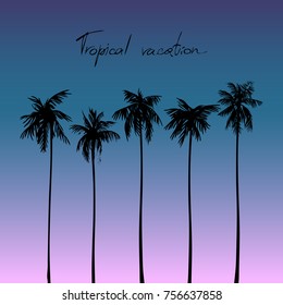 Silhouettes of tropical palm trees against the sky. Vector image.