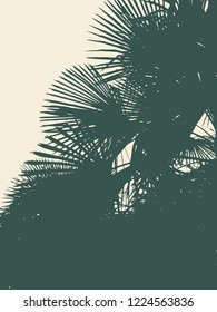 Silhouettes of Tropical Palm Trees. Vector illustration