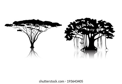 silhouettes of tropical trees