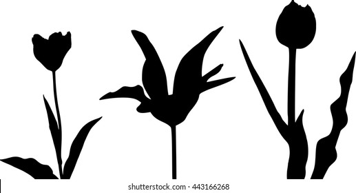 Tulips Silhouette Images, Stock Photos & Vectors | Shutterstock