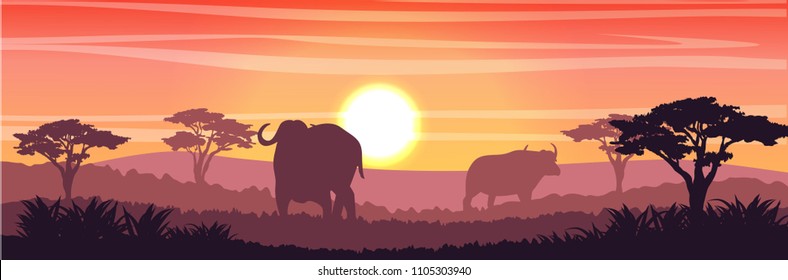 Silhouettes of two African black buffalo in the savannah. Grass and acacia trees. Realistic vector landscape. Nature and animals of Africa. Reserves and national parks.