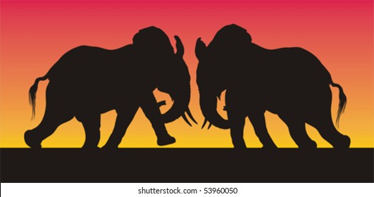 Silhouettes of two African males elephants  investing against each other.