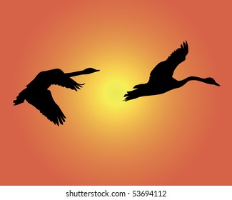 Silhouettes of two flying swans on an orange background