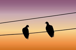 Silhouettes Of Two Pigeons Sitting On A Wire And Looking At Each Other Against The Sunset Sky. Vector Illustration