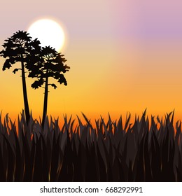 Silhouettes of two pines growing in a meadow. Coniferous plants in the rays of the setting sun. Vector landscape can be used in newsletter, brochures, postcards, banner.