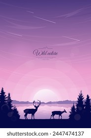 Silhouettes of two red deer walking along the shore of a river or lake. The sun sets behind the mountains, the night sky. Silhouettes of coniferous trees in the foreground. Vector image.