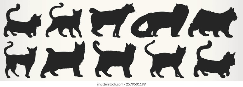 Silhouettes of various cat breeds in different poses. Cat silhouettes show diverse shapes and sizes. Perfect for cat-themed designs and cat lovers. Animal illustrations, isolated element vector set.