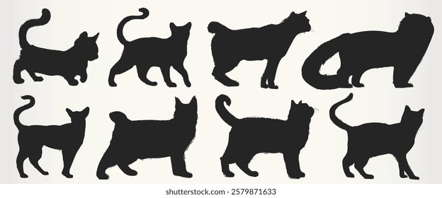 Silhouettes of various cat breeds in different poses. Cat silhouettes show distinct shapes and tails. Ideal for cat lovers and pet-themed designs. Animal illustrations, isolated element vector set.