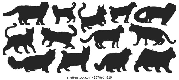 Silhouettes of various cats in different poses. Cats walking, sitting, and stretching. Black cat silhouettes on a white background. Feline shapes and outlines. Animal illustrations, element vectors.