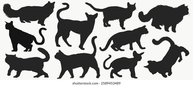 Silhouettes of various cats in different poses. Cats walking, sitting, and stretching. Black cat silhouettes on a white background. Feline shapes and outlines. Animal illustrations, vector set.