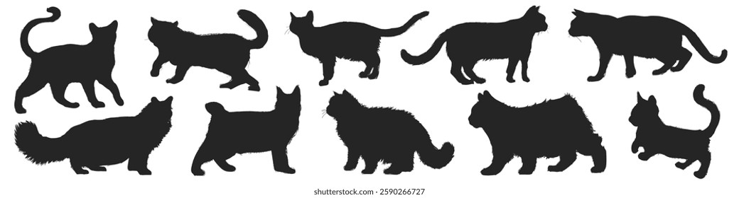 Silhouettes of various cats in different poses. Cat silhouettes showing different cat shapes. Black cat silhouettes in walking, sitting, and standing poses. Animal illustrations, element vector set.