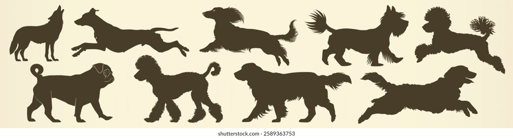 Silhouettes of various dog breeds in different poses. Includes poodles, terriers, and hounds. Dogs in action, running and standing. Canine silhouettes in motion. Element vector set.