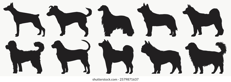 Silhouettes of various dog breeds. Each dog silhouette showcases different dog shapes and sizes. Perfect for dog lovers and breed enthusiasts. Animal illustrations, isolated element vector set.