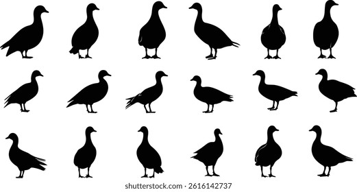 Silhouettes of various ducks and geese arranged in a grid pattern showcase different stances and designs. Each figure emphasizes the unique characteristics of these birds.