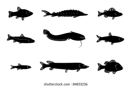 Silhouettes of various fish