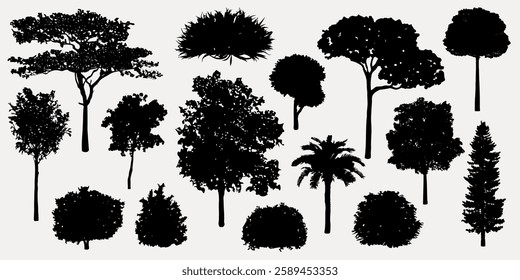 Silhouettes of various tree shapes and sizes. Tree silhouettes include palm, pine, and deciduous types. Diverse tree silhouettes for design use. Botanical elements, vector set.