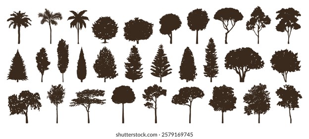 Silhouettes of various tree types, including palm, pine, and deciduous trees. Tree silhouettes in different shapes and sizes, showcasing diverse tree forms. Silhouette forest elements, vector set.