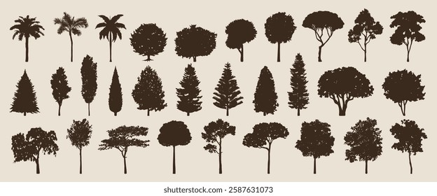 Silhouettes of various tree types, including palm, pine, and deciduous trees. Tree silhouettes in different shapes and sizes. Variety of tree silhouettes. Silhouette forest elements, vector set.