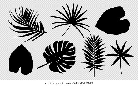 Silhouettes of various tropical leaves and plants isolated on a transparent background. Botanical objects for creating various patterns or designs.