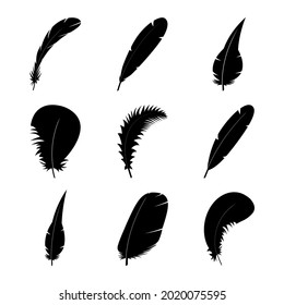 Silhouettes of various types of bird feathers in black on a white background. A vector image.