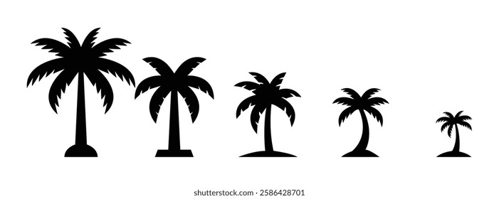 Silhouettes of varying sized palm trees. palm trees, summer vacation, travel, botany
