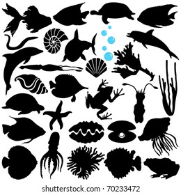 Silhouettes Vector Of Fish, Sea Life, Marine Life, Seafood. A Set Of Cute Icon Collection Isolated On White Background