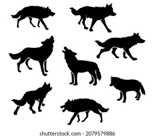 silhouettes vector, set Design of Wolf, wolf in silhouette design