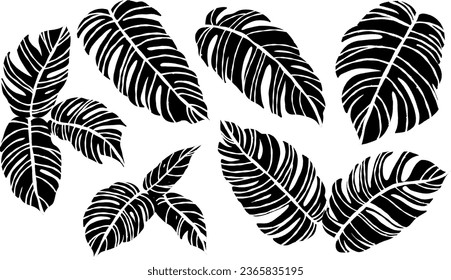 Silhouettes Vector Set of Monstera leaf. Beautiful hand drawing jungle tropical leaves Illustration for advertising, wedding invitations, card design.