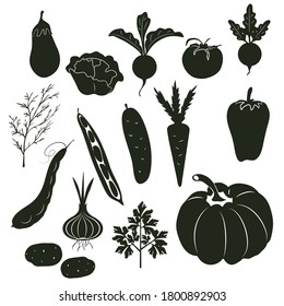 Silhouettes of vegetables and spices on a white background. Vector outlines.