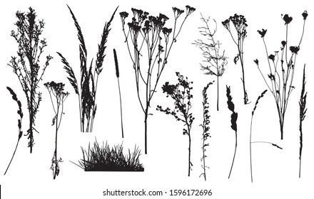 Silhouettes of weed plants, set of wild plants and grass. Vector illustration.