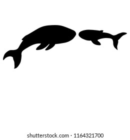 Silhouettes of whales on a white background. Two whales frolic