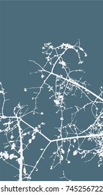 Silhouettes of White Trees on blue background. Tree Pattern. Vector illustration