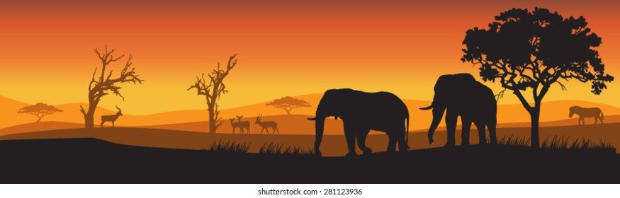 Silhouettes of wild African Elephants at sunset