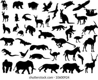 silhouettes wild animals